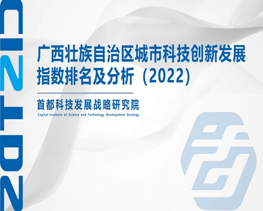 男生肏女生的网站【成果发布】广西壮族自治区城市科技创新发展指数排名及分析（2022）